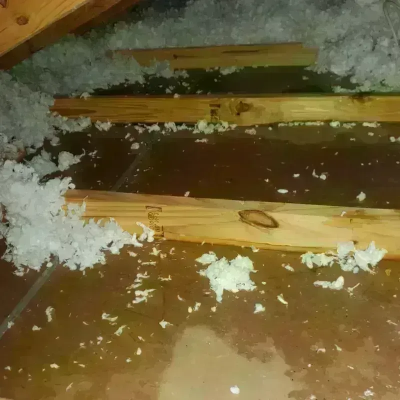 Attic Water Damage in Franklin County, VT