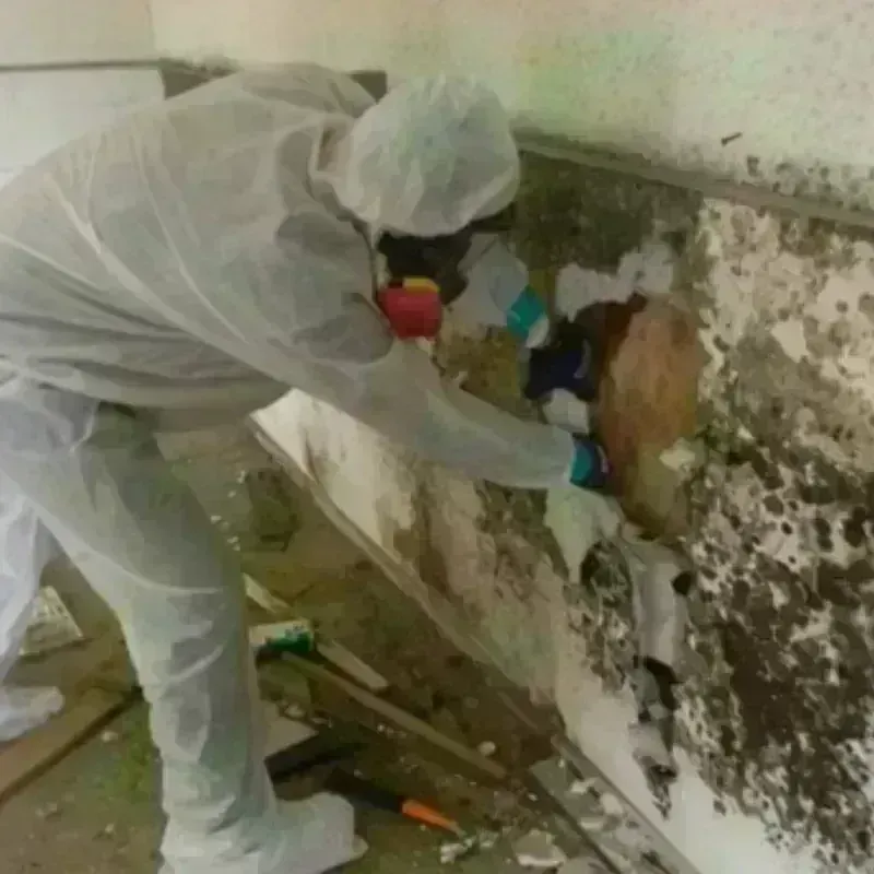 Best Mold Remediation and Removal Service in Franklin County, VT